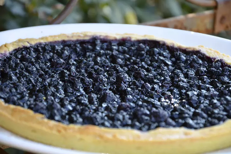 Blueberry Pie
